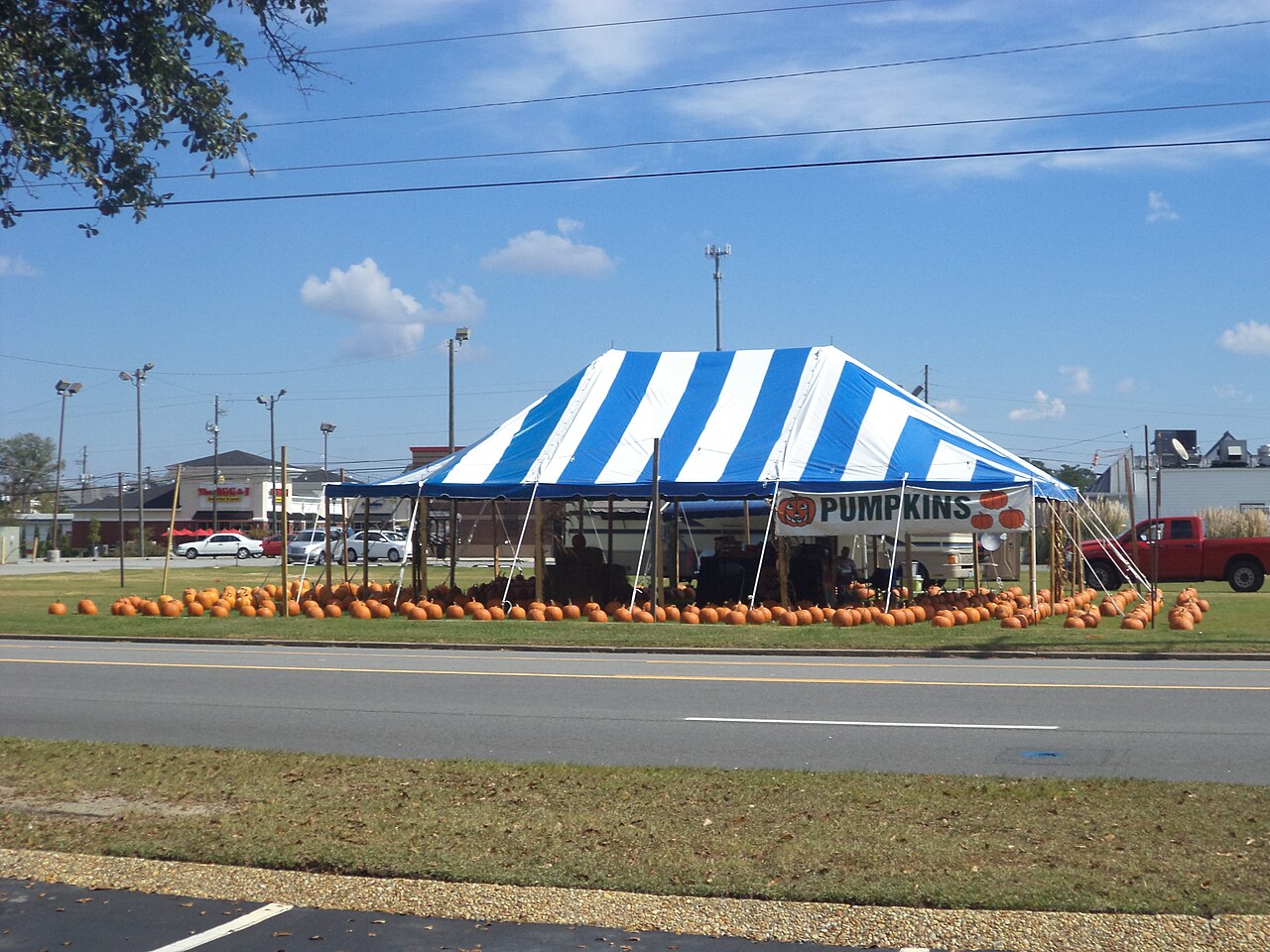 Pumpkin Patches and Christmas Tree Lots Want Your Vacant Commercial Land for Lease